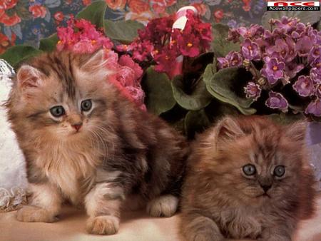 Tirer avantage d'une situation